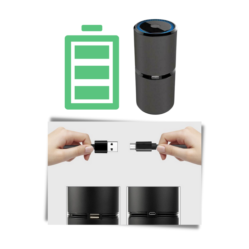 Ionic Air Purifier