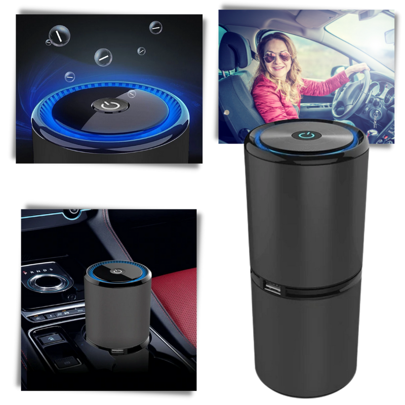 Ionic Air Purifier