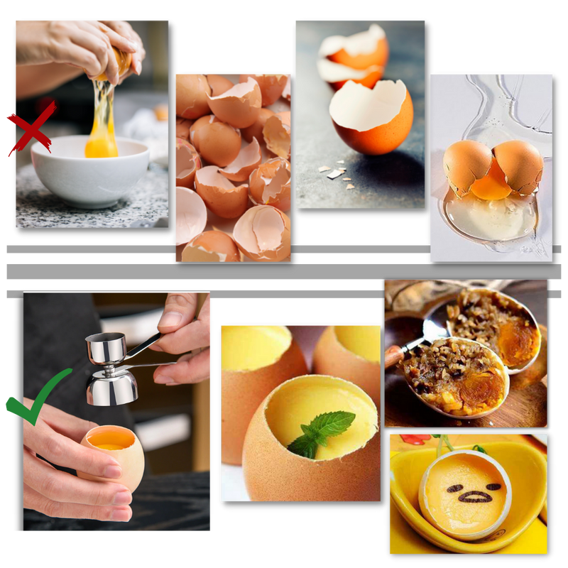 Eggshell Opener