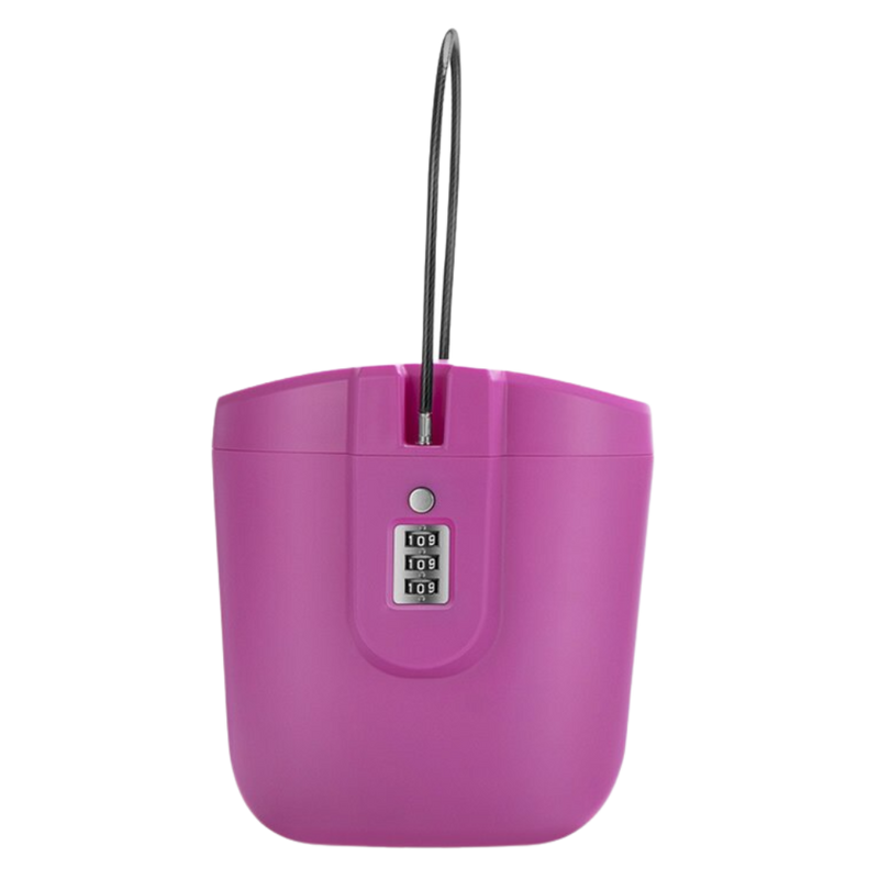 Portable Safe Box with Handle