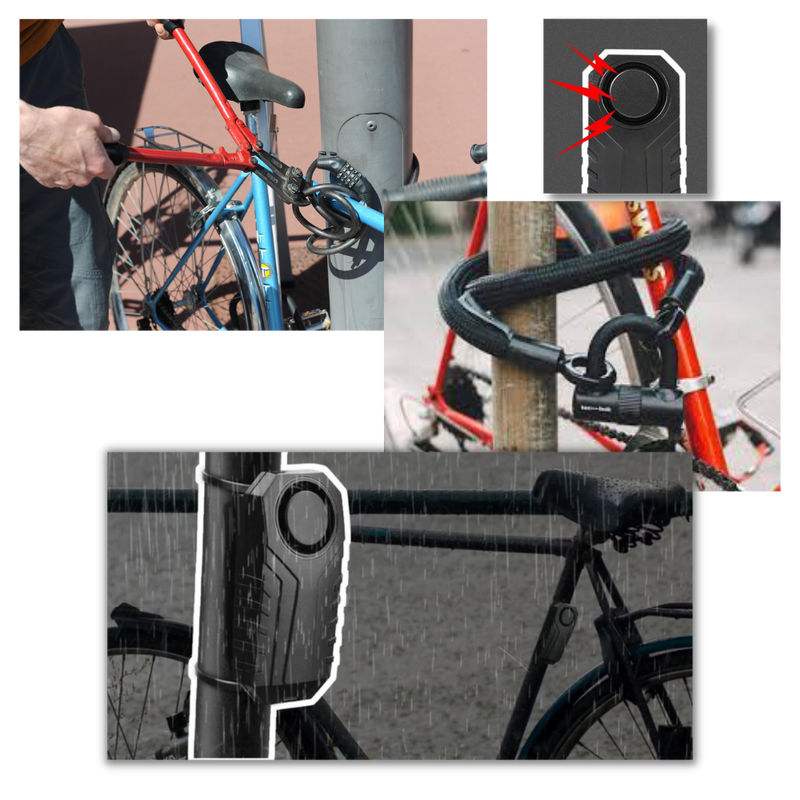 Electric Bicycle Alarm System