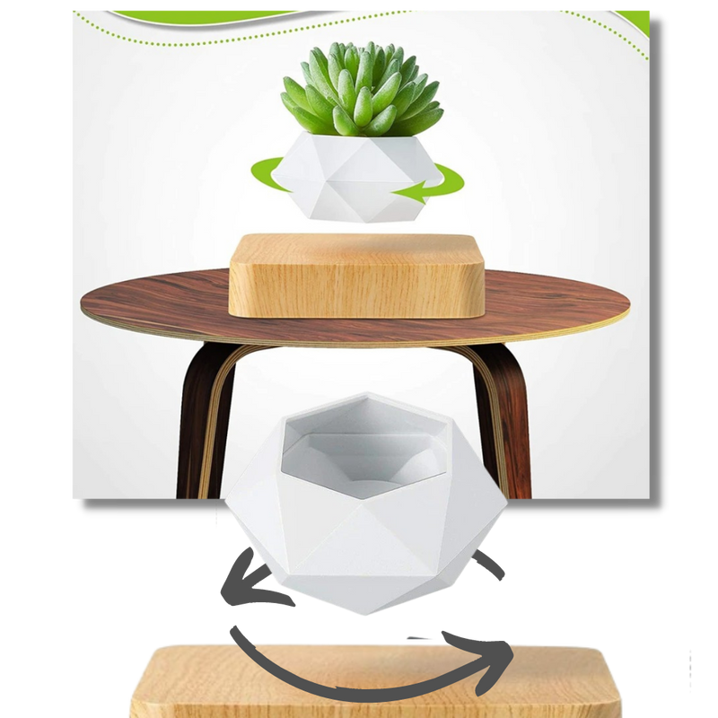 Levitating air pot plant