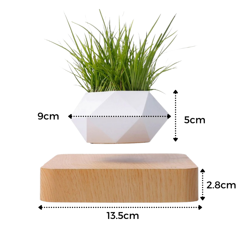 Levitating air pot plant