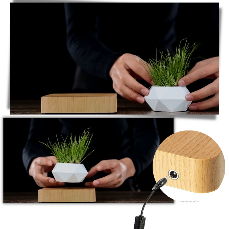 Levitating air pot plant