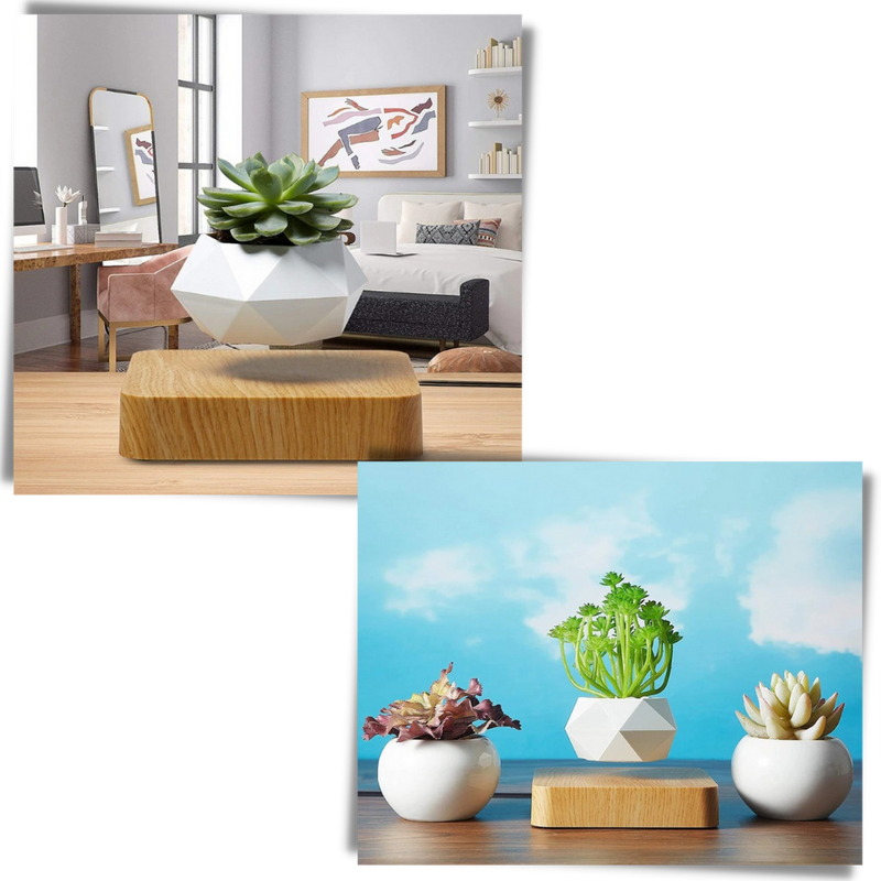 Levitating air pot plant