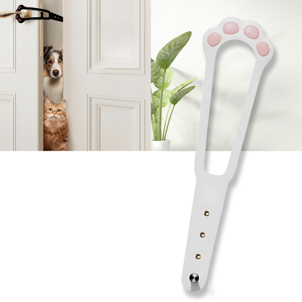 Innovative Door Latch For Cats