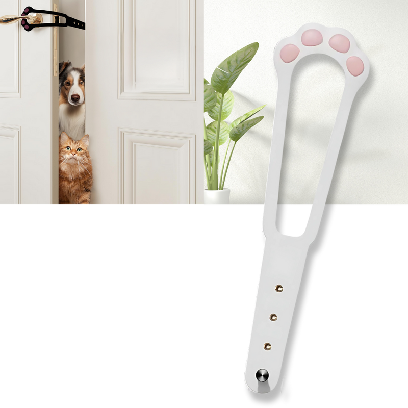 Innovative Door Latch For Cats