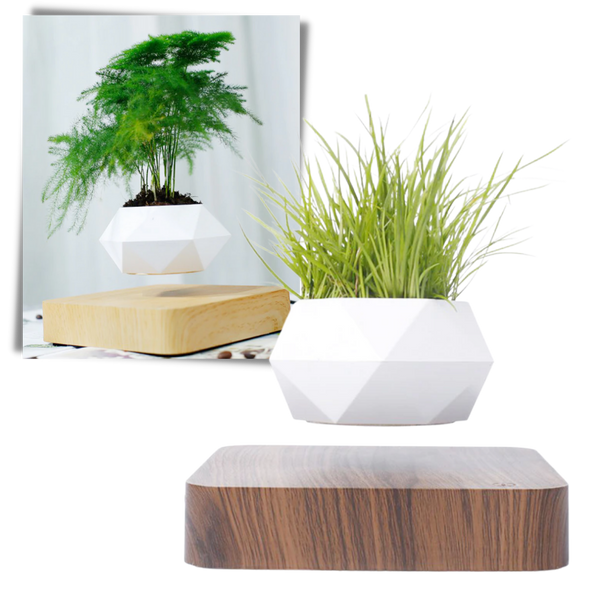 Levitating air pot plant