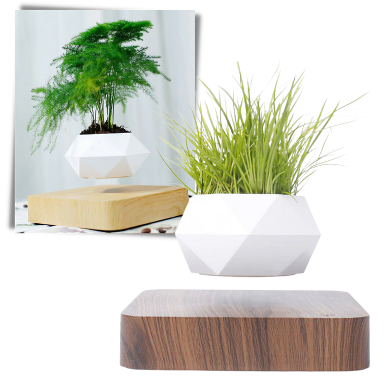 Levitating air pot plant