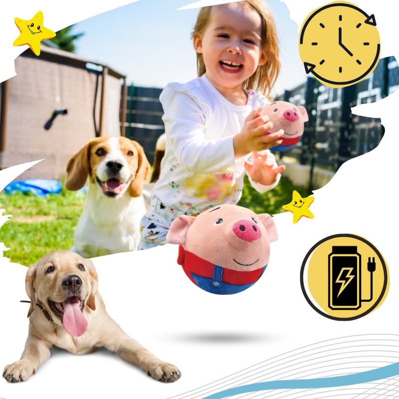 Paw Bounce Sensor Toy