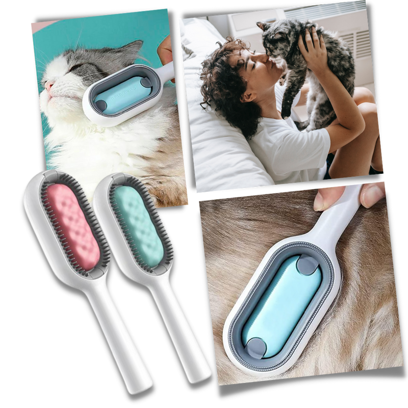 Pet Grooming Comb with Water tank
